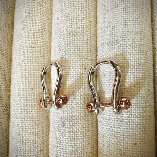 “Laelia” Hoop Two-Tone Earrings
